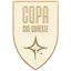 Copa Sul-Sudeste