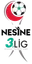 3. Lig - Group 1