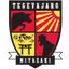 Tegevajaro Miyazaki