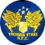 Treowen Stars