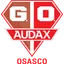 Gremio Osasco Audax