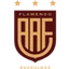 Flamengo SP Sub-20