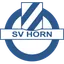 SV Horn