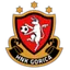 Gori