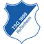 1899 Hoffenheim