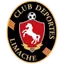 Deportes Limache