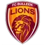 Bulleen Lions