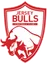 Jersey Bulls