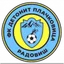 Detonit Plachkovica