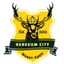 Berekum City