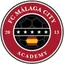 Malaga City