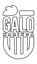 Galo Maringá U20