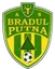 Bradul Putna