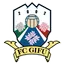 FC Gifu