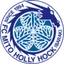 Mito Hollyhock