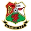 llanelli AFC