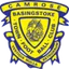 Basingstoke Town