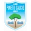 Pineto